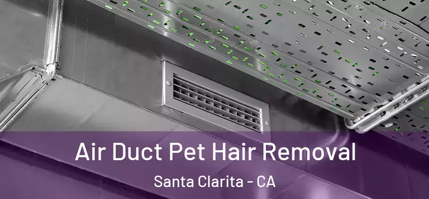 Air Duct Pet Hair Removal Santa Clarita - CA
