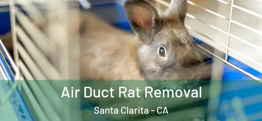  Air Duct Rat Removal Santa Clarita - CA