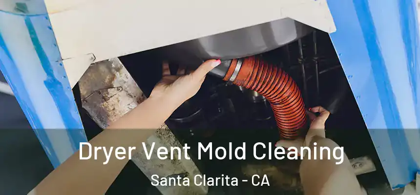Dryer Vent Mold Cleaning Santa Clarita - CA