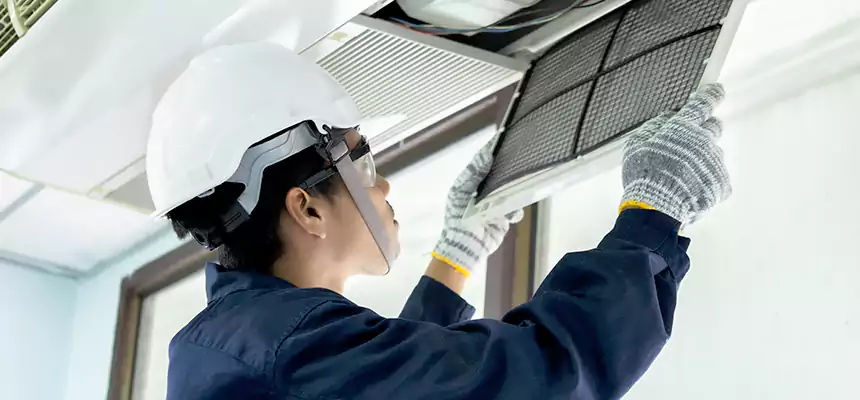 Our Mold & Mildew Removal from Air Ducts Services in Santa Clarita, CA