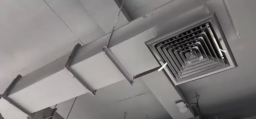 Our Pest Removal From Ducts Services in Santa Clarita, CA