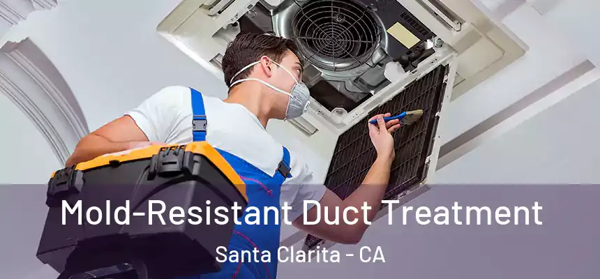 Mold-Resistant Duct Treatment Santa Clarita - CA