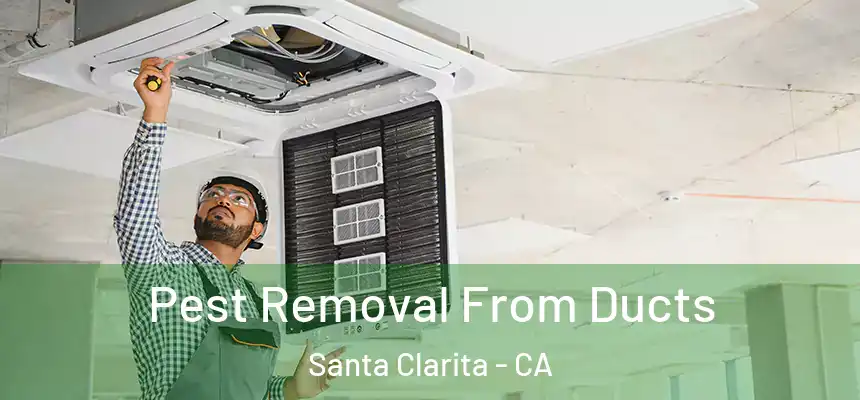  Pest Removal From Ducts Santa Clarita - CA