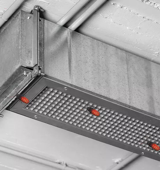 About Air Duct Cockroach Removal in Santa Clarita, CA