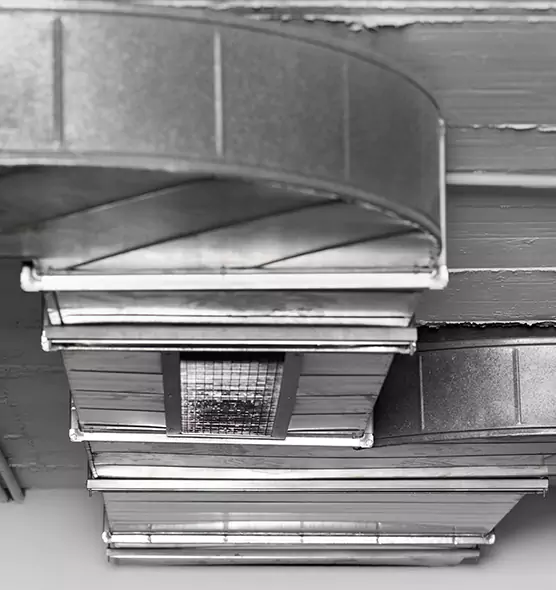 Professional Air Duct Pest Removal in Santa Clarita, CA