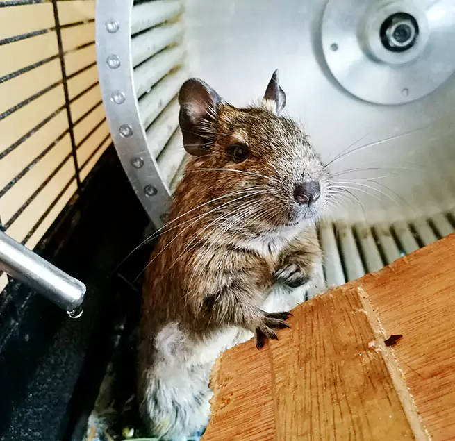 Why Homeowners & Businesses Trust Us Santa Clarita, CA