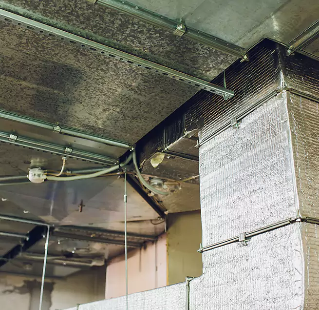 Why Homeowners & Businesses Trust Us in Santa Clarita, CA?